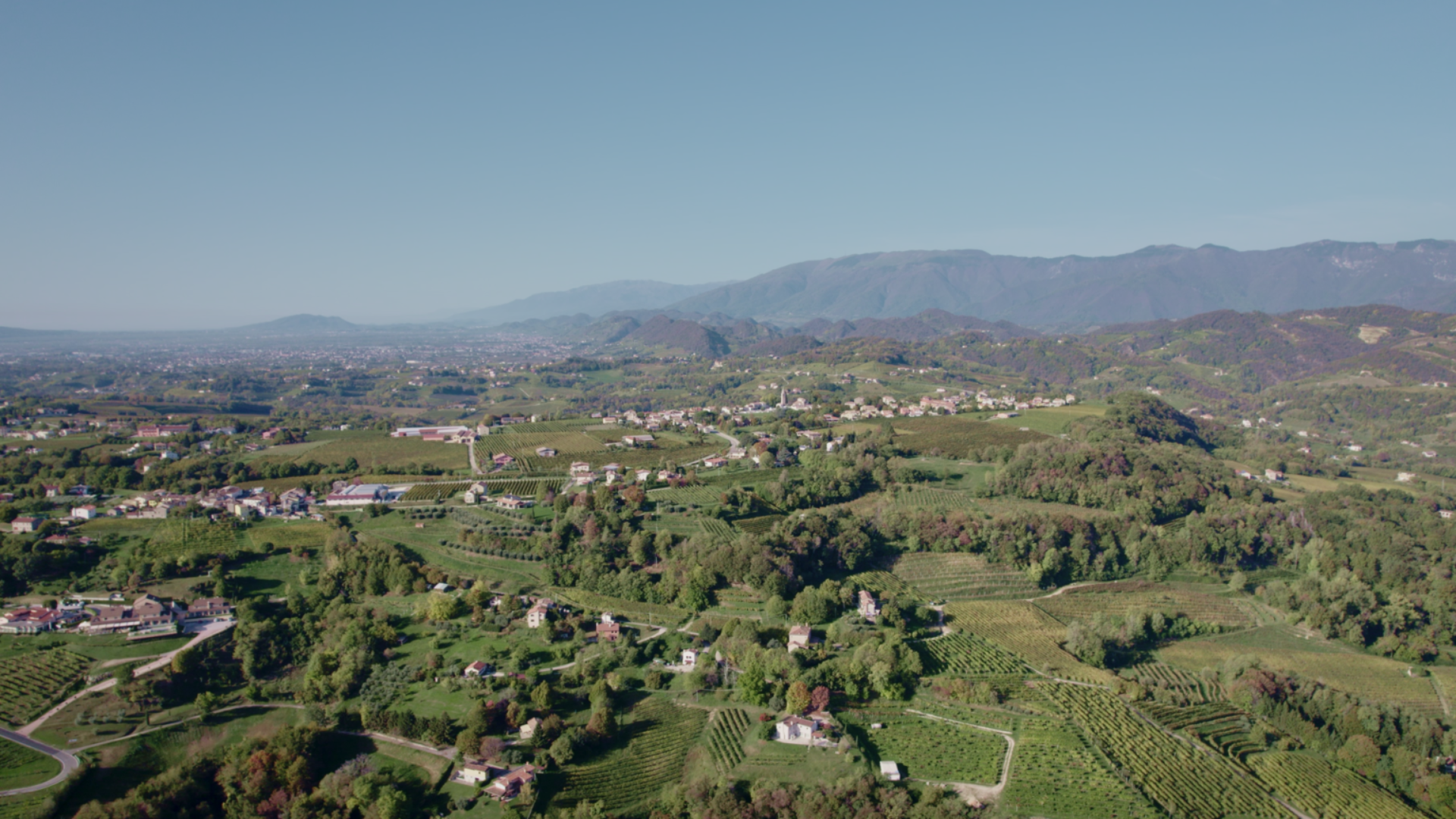 Veduta sulle colline di San Pietro di Feletto